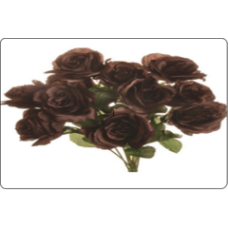 Chocolate Rose